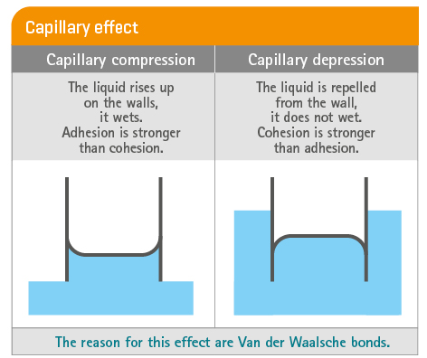 Kapillarwirkung 