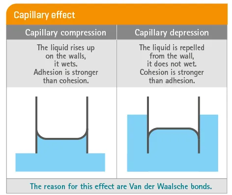 Kapillarwirkung