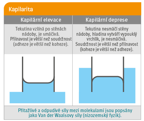 Kapillarwirkung 