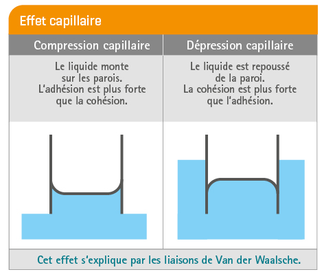 Kapillarwirkung 