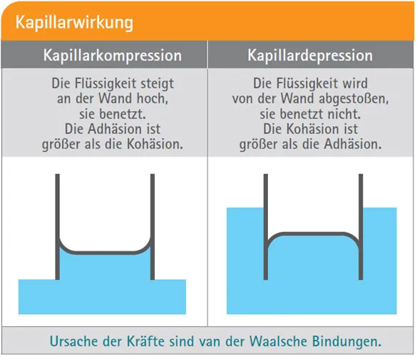 Kapillarwirkung