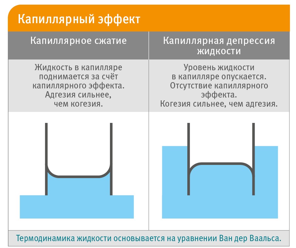 Kapillarwirkung 