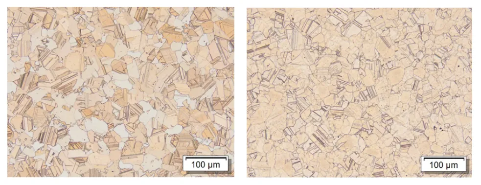 Verschiedene Querschliffe auf 100 µm werden gegenübergestellt